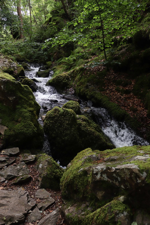 Tom Gill Waterfall