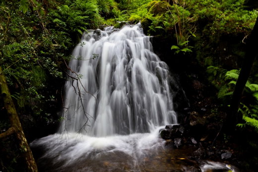 Tom Gill Waterfall