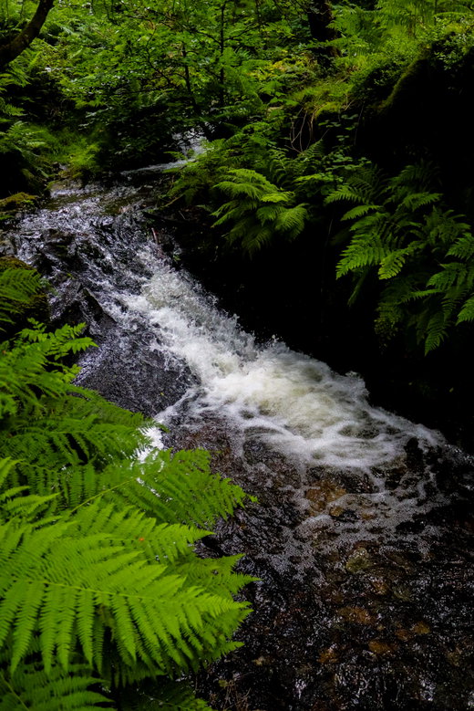 Tom Gill Waterfall