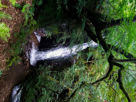 Tom Gill Waterfall