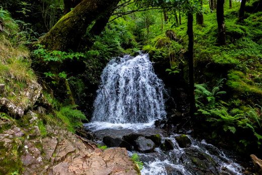 Tom Gill Waterfall