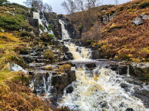 Bleabeck Force