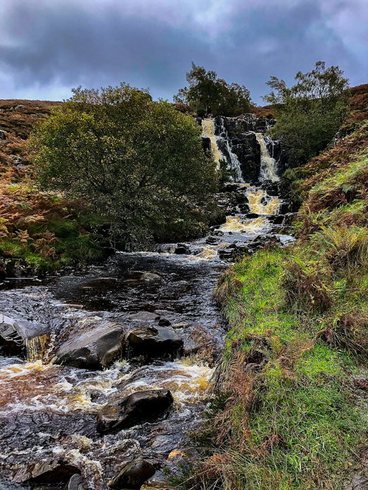 Bleabeck Force