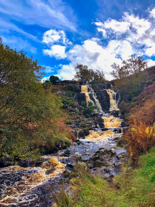 Bleabeck Force