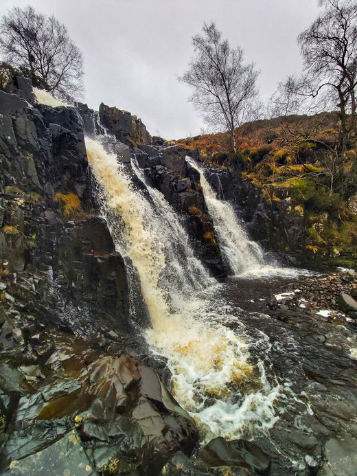 Bleabeck Force