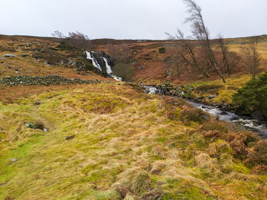 Bleabeck Force