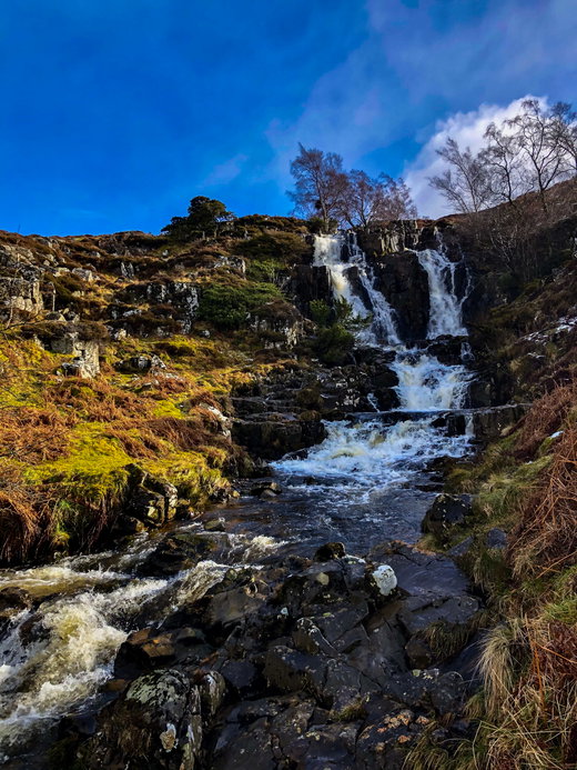Bleabeck Force