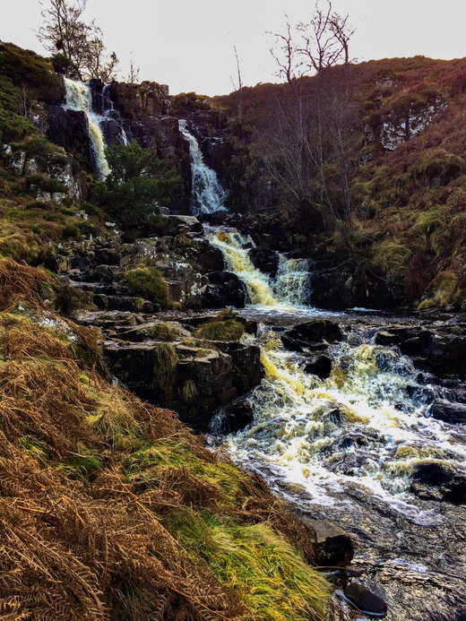 Bleabeck Force
