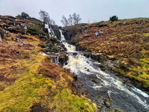 Bleabeck Force