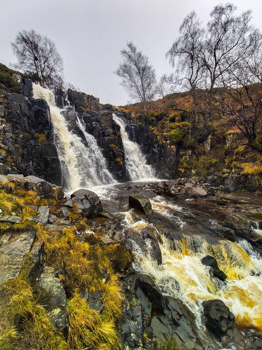 Bleabeck Force