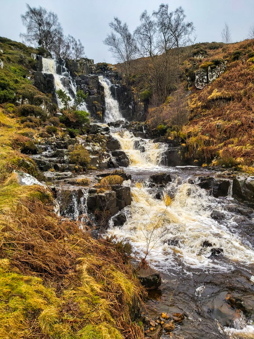 Bleabeck Force