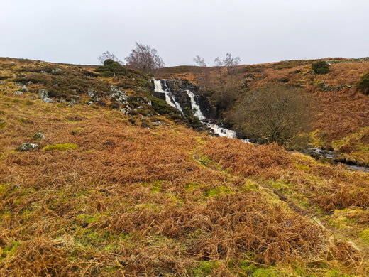 Bleabeck Force