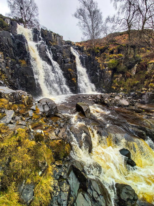 Bleabeck Force