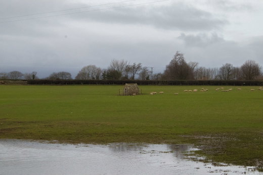 Stanwick Pant And Well Head