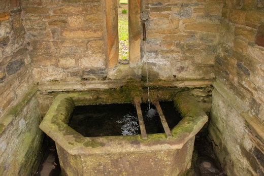 Stanwick Pant And Well Head