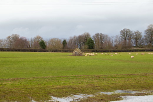Stanwick Pant And Well Head
