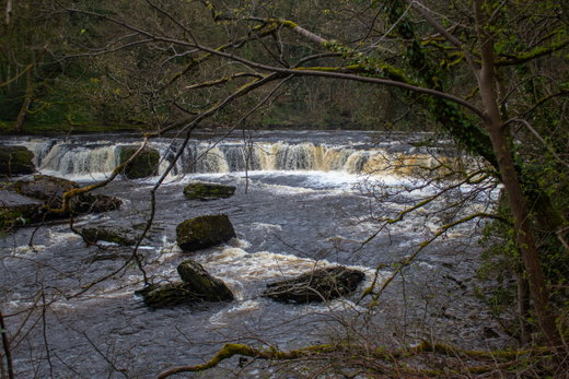 Aysgarth Falls