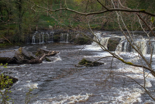 Aysgarth Falls