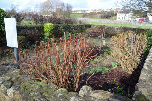 Bedale Pinfold