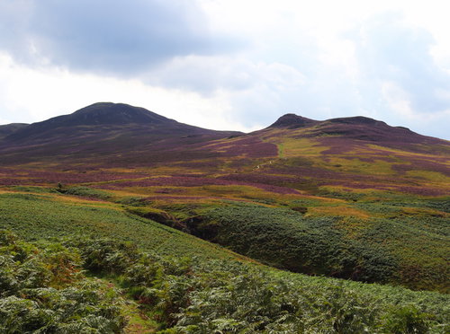 Wainrights North Western Fells