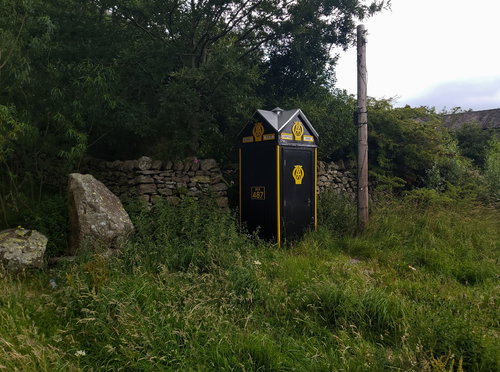 AA Sentry Box 487