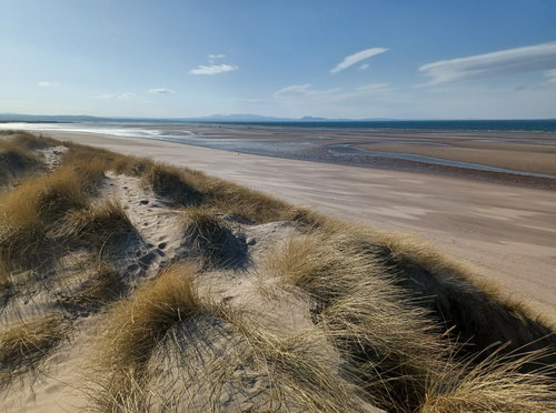 Aberlady Bay Nature Reserve
