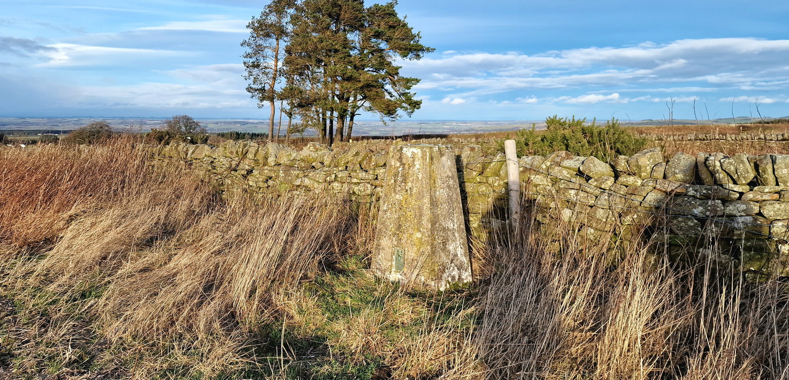 Barley Hill Trig Point