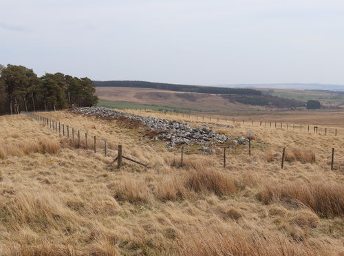 Bellshiel Law Long Cairn