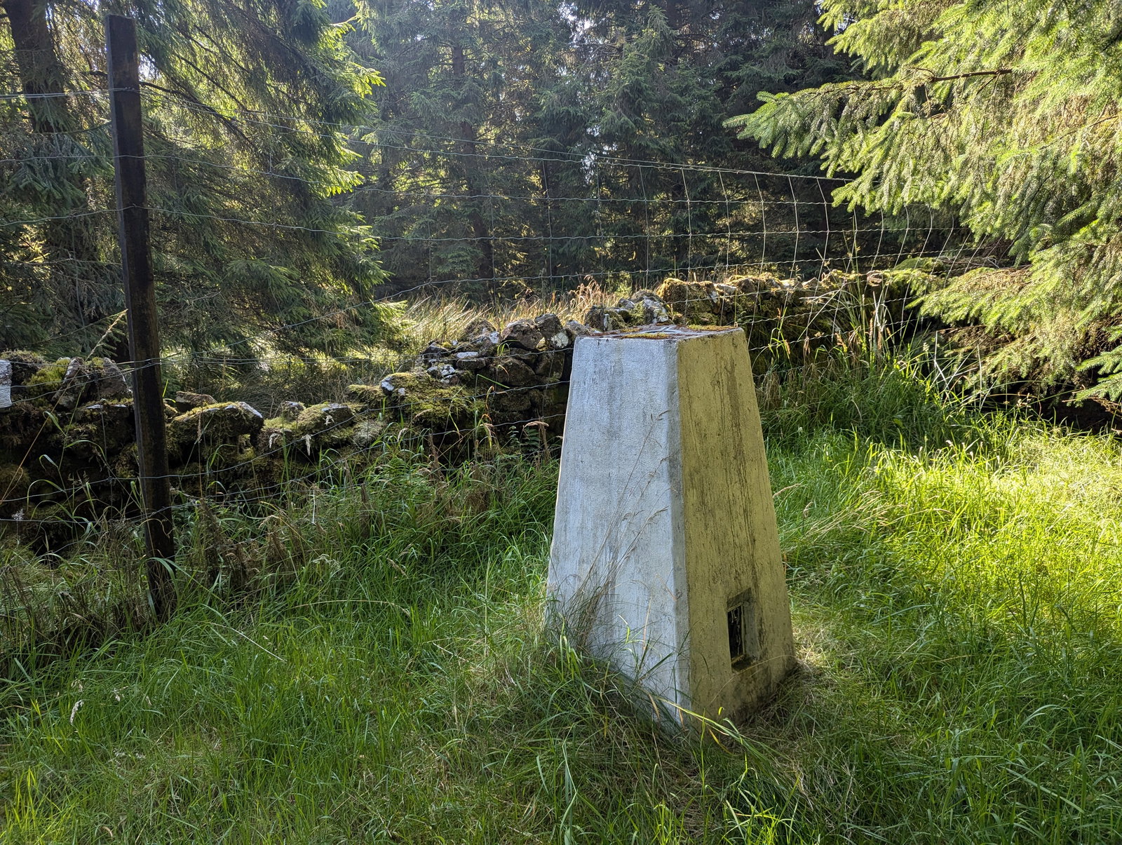 Birk Hill Trig Point