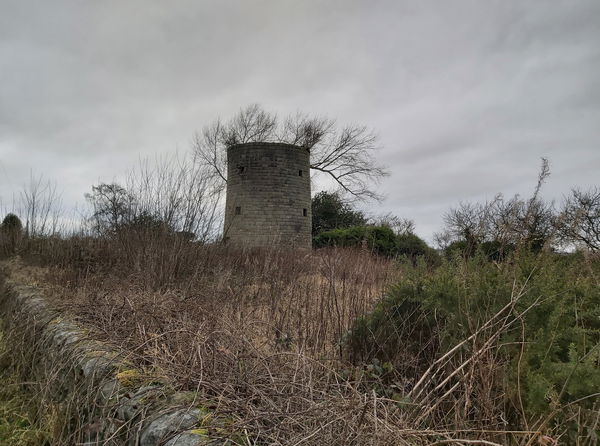 Birney Hill Mill