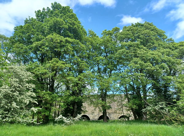 Bishopley Lime Kilns