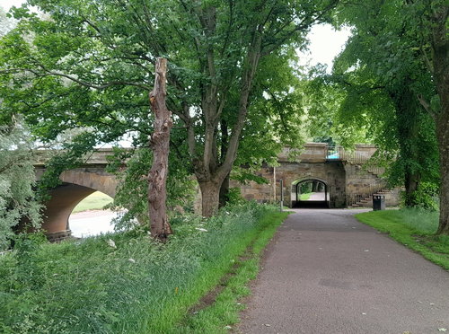 Bitts Park