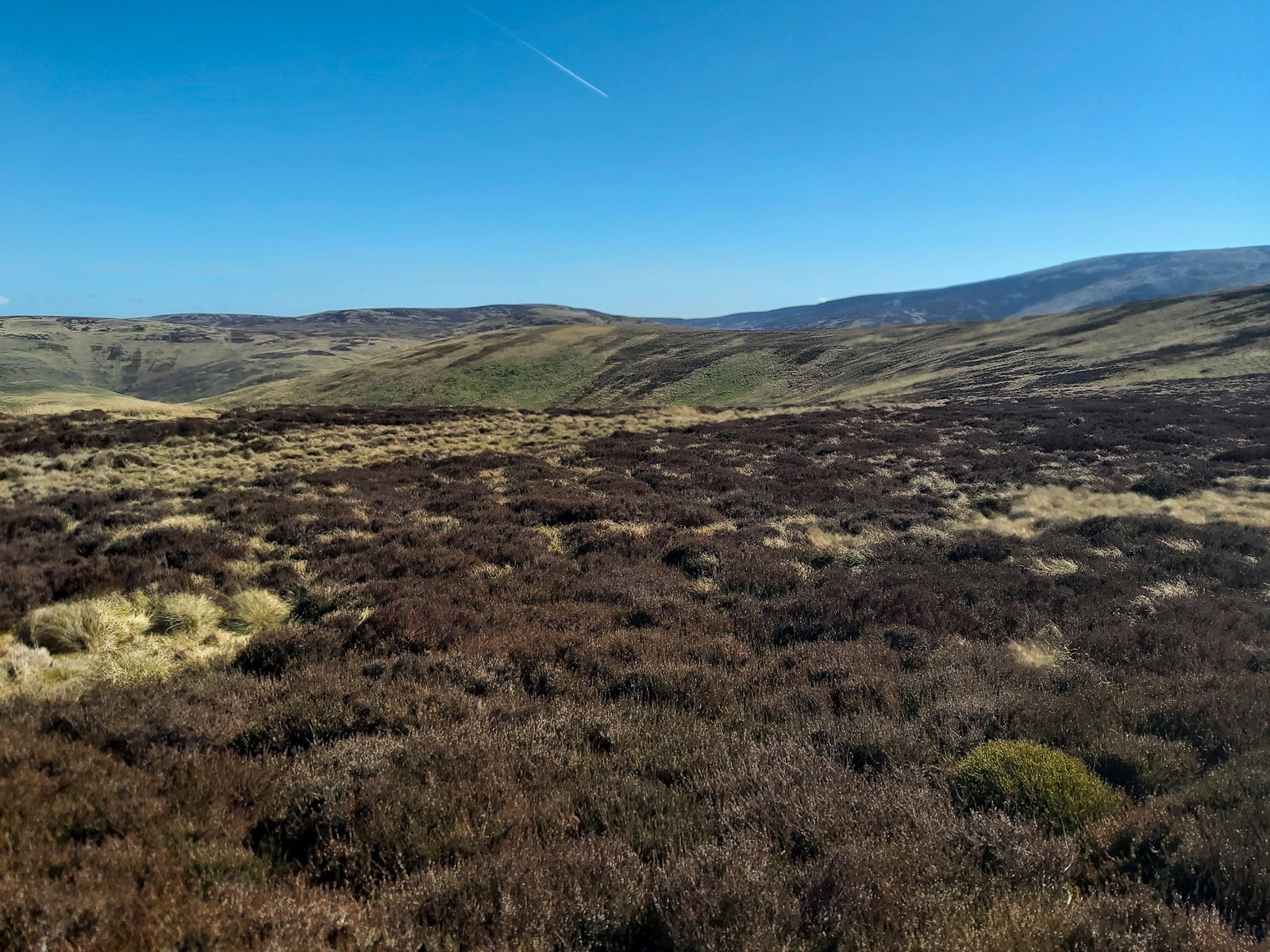 Blackhaggs Rigg