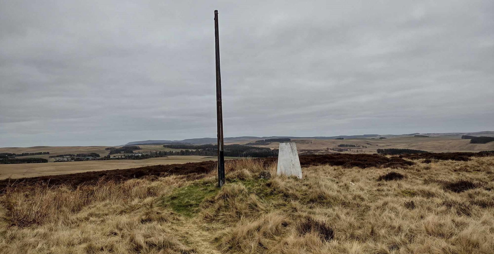 Blakeman's Law Trig Point