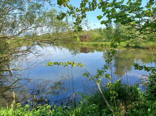 Branton Lakes Nature Reserve