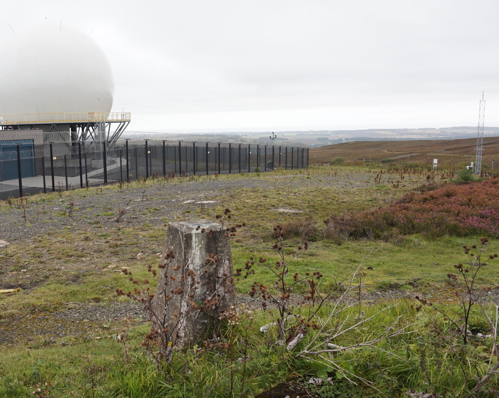 Brizlee Wood Trig Point