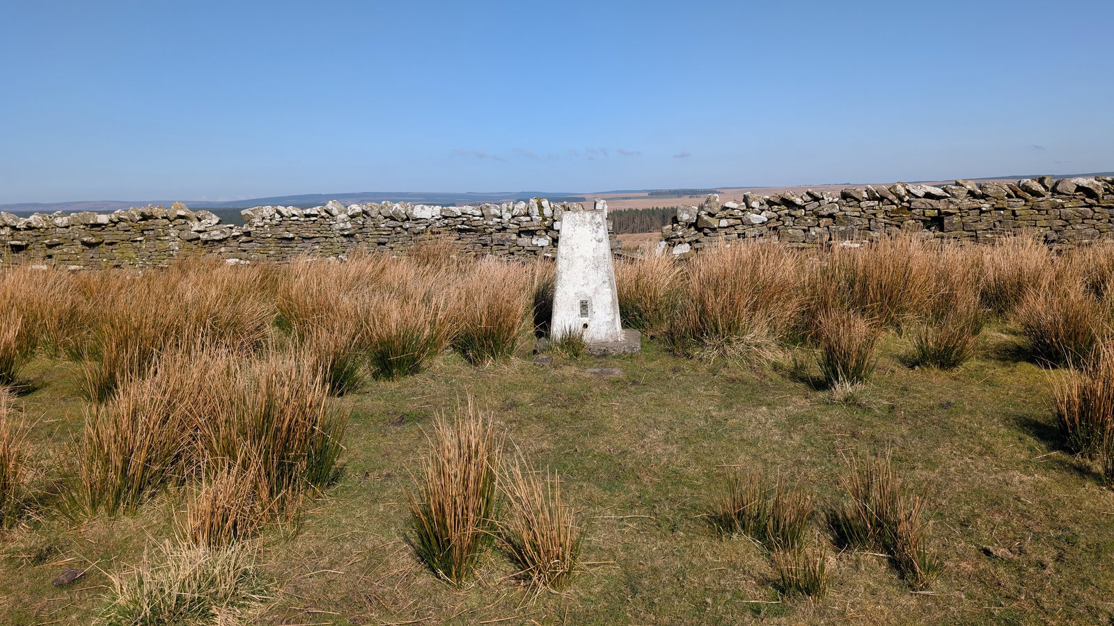 Burn Divot Trig Point