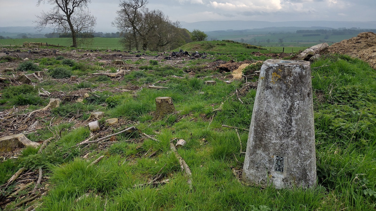 Burradon Mains Trig Point