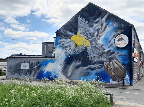 Canary Mural Wheatley Hill
