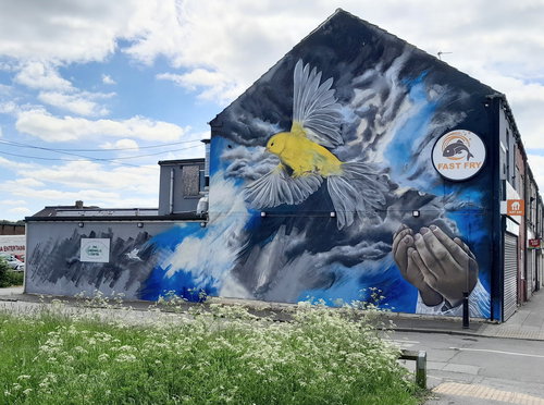 Canary Mural Wheatley Hill