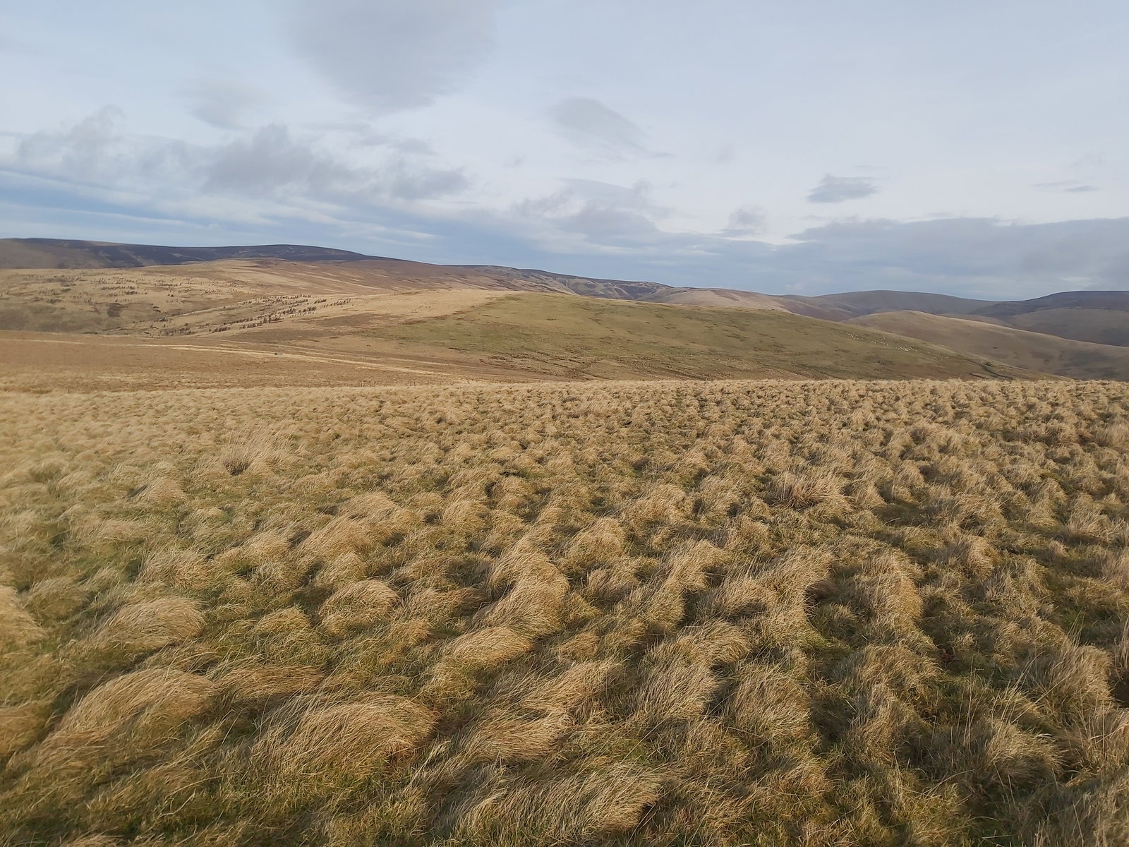 Carlcroft Hill