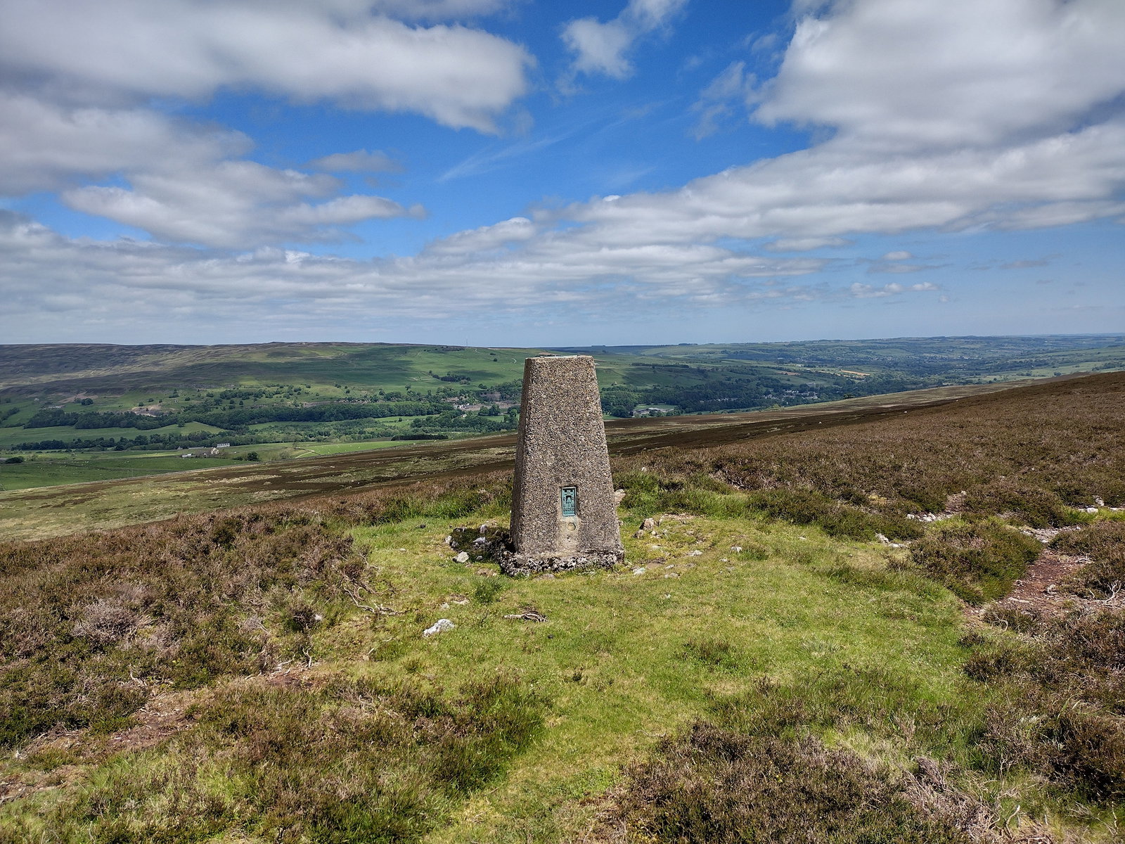 Catterick Moss Trig Point