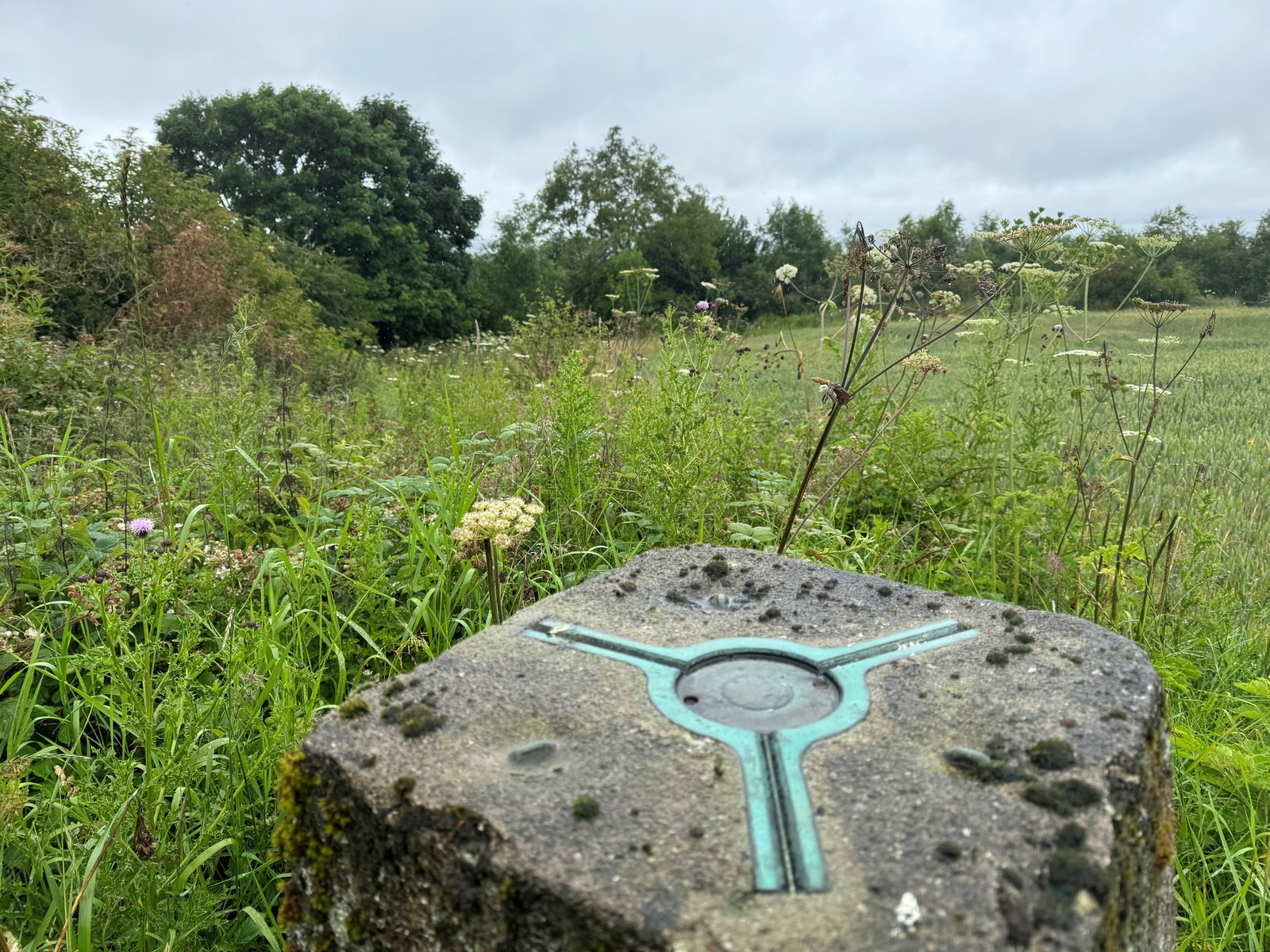 Coalway Plantation Trig Point