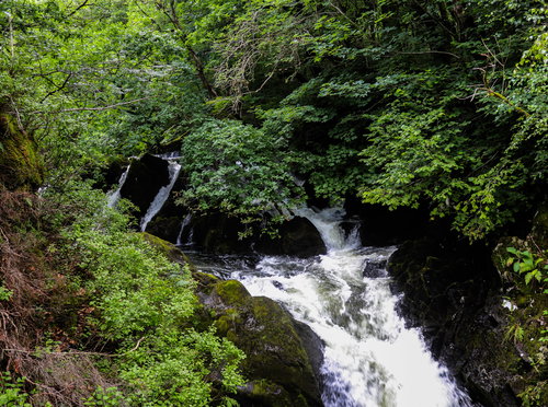 Colwith Force
