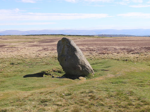 Cop Stone
