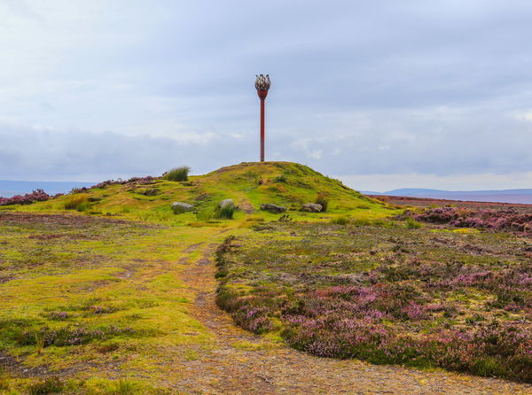 Danby Beacon