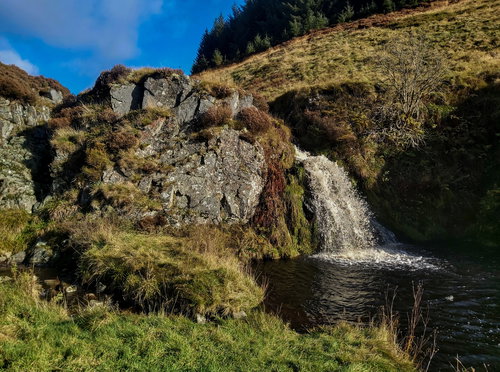 Davidson's Linn