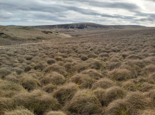Deel's Hill