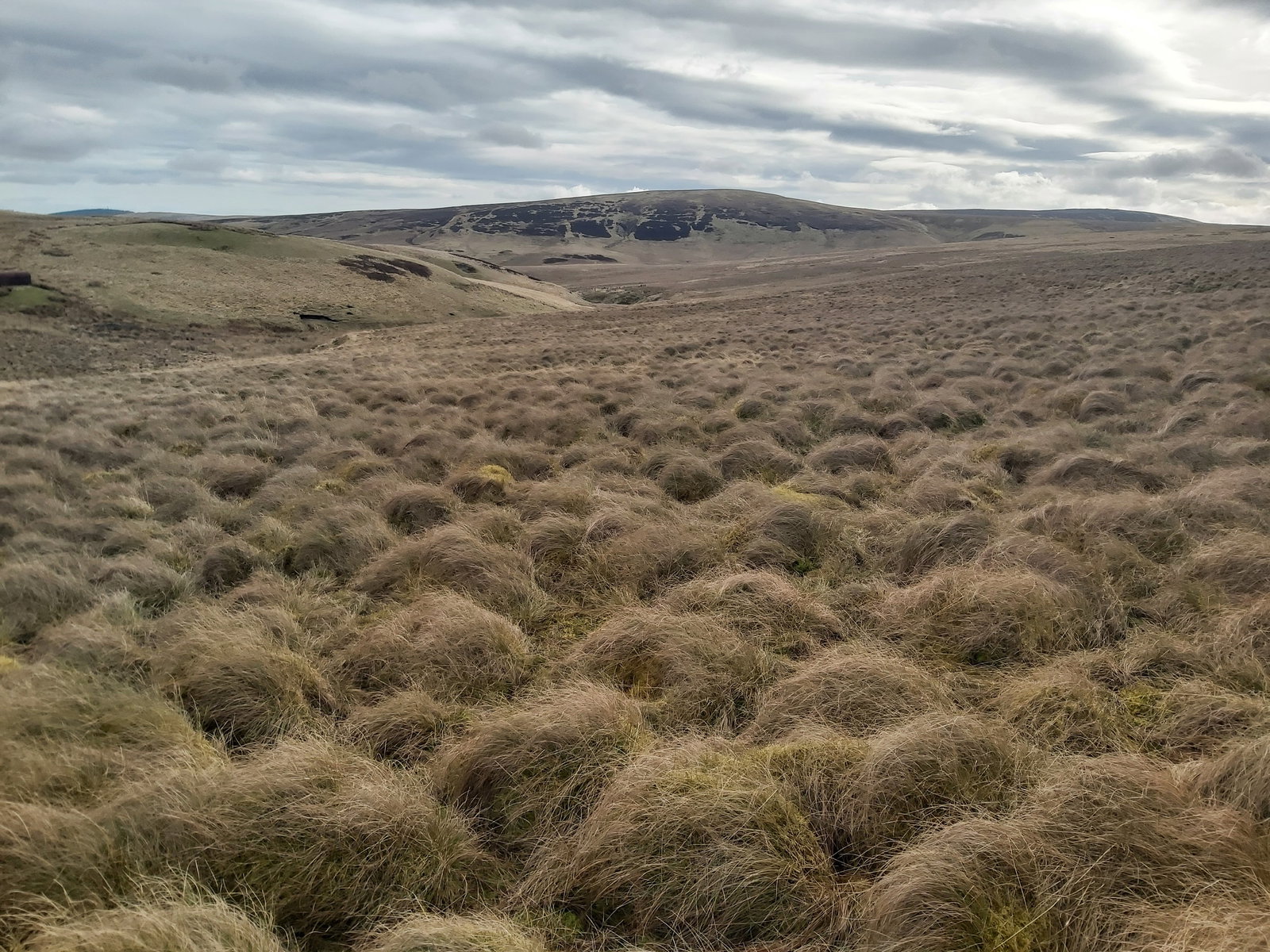 Deel's Hill