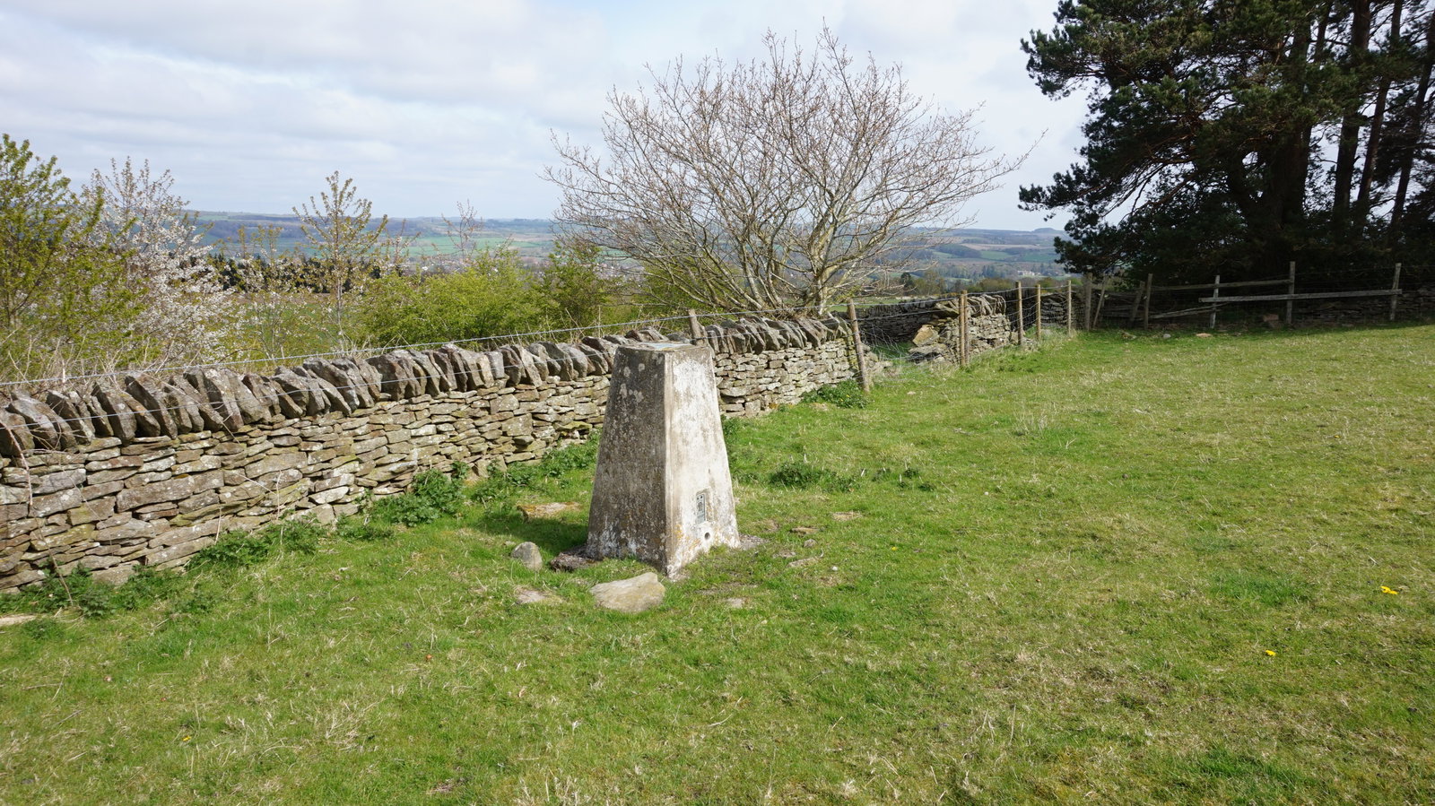 Dilston Trig Point